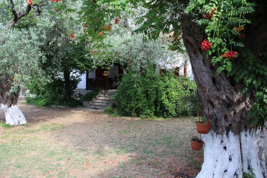 Апартаменти Patroudis House Skala Rachoni  Номер фото
